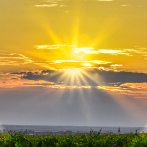 2778 Know Whom to Trust