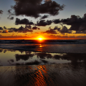 2781 Playing Not to Lose