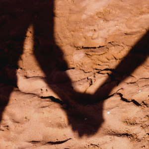 2787 From This Day Forward