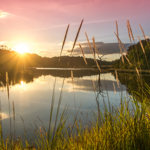 2795 Grace Not Perfection