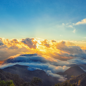 2804 Impact for a Lifetime