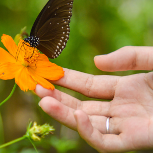 2806 Turn a Life Around