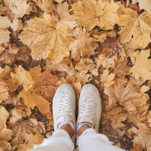 2818 Don’t Let Yourself Become Weary