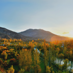 2832 Appreciate Where You Are