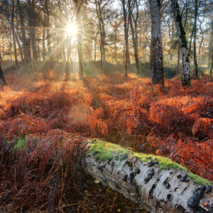 2837 Loved Beyond Measure