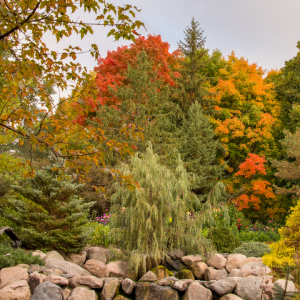 2841 Everything Has a Price