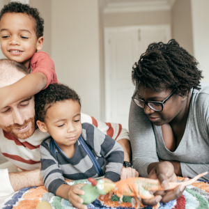 2842 Chaos Meets Calm