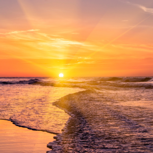 2844 Walk in Obedience