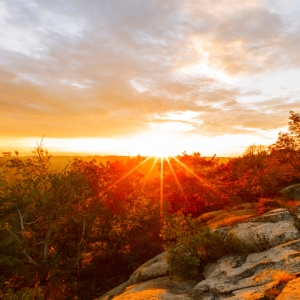 2845 Where Greatness Happens