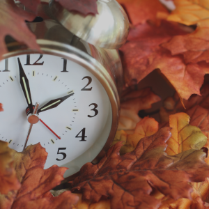 2847 How to Fall Back to Spring Forward