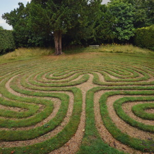 2853 A Journey of Many Paths