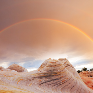 2858 I Will Not Be Shaken