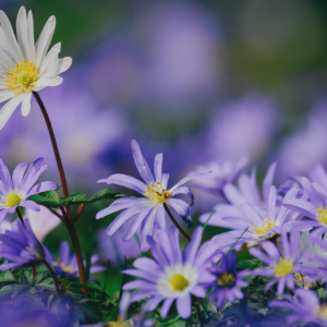 2862 Stop Trying to Fit In