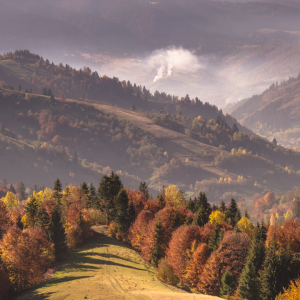 2866 A Gratitude Mindset