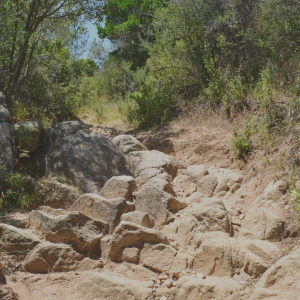 2876 Choose Your Rut Carefully