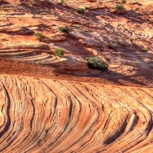 2881 Persistence Drives Passion