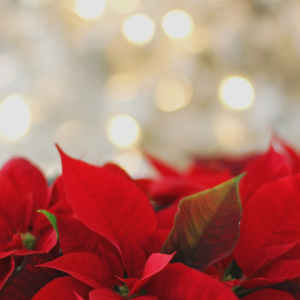 2886 Prepare Your Heart