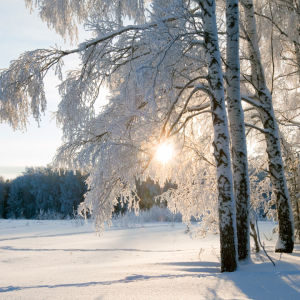 2888 Embrace the Little Things