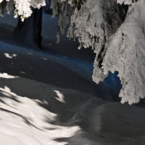 2894 Don’t Let Your Chains Hold You Down