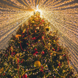 2897 Believe You Can Achieve