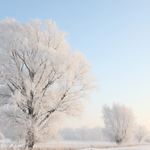 2902 Be Methodical in the Madness