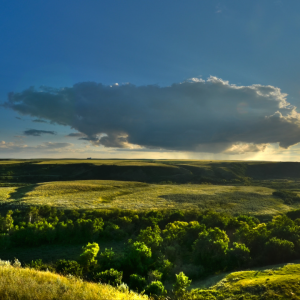 2916 Your Worth is Not in Your Success