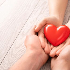 2919 Connect to the Heart of Your Child