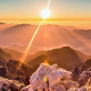 2928 I Shall Not Want