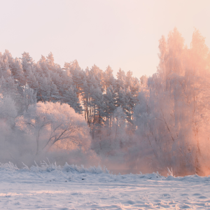 2929 Consider It Pure Joy