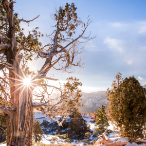 2932 Prioritize What Matters Most in Your Life