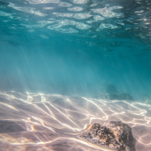 2935 I Stand at the Door and Knock