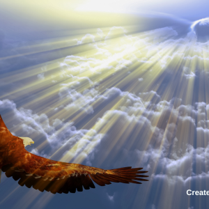 2953 Continue Your Pursuit