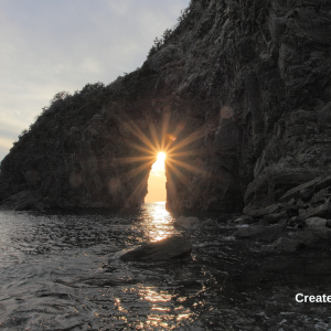 2960 Hope for the Heart