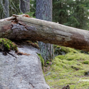 2968 Maybe Broken is Better than Fixed