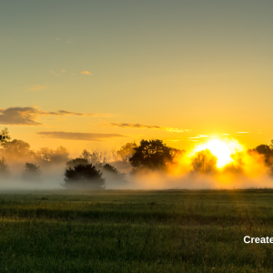 2973 Master Your Morning