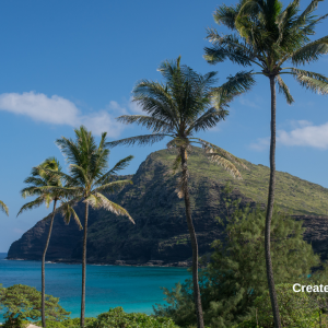 2988 Look Around Today!