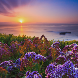 2997 How to Do What’s Best for You