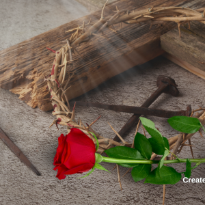 3003 Every Rose Has Its Thorn