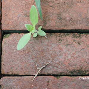 3005 Specialize in the Impossible