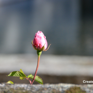 3014 Wait with Anticipation