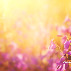 3017 Be Kind and Compassionate