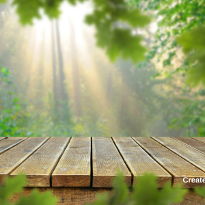 3034 The Sum of Your Surroundings