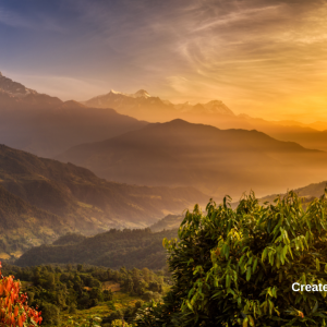 3038 Take Comfort in Knowing