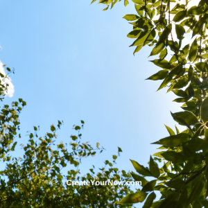 3049 Beyond the Breath