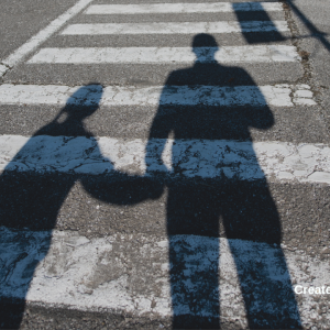 3057 Train Up Your Shadow