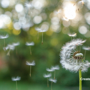 3072 Love is Like the Wind