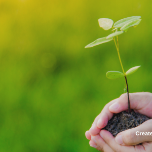 3085 The Power of Expectations