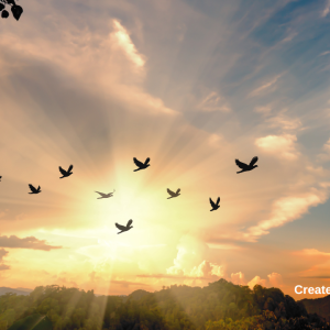 3088 Freedom Begins in the Mind