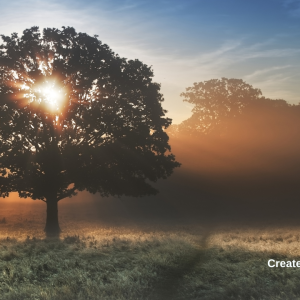 3094 Find Comfort in God’s Hidden Presence