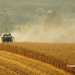 3157 Reap a Harvest
